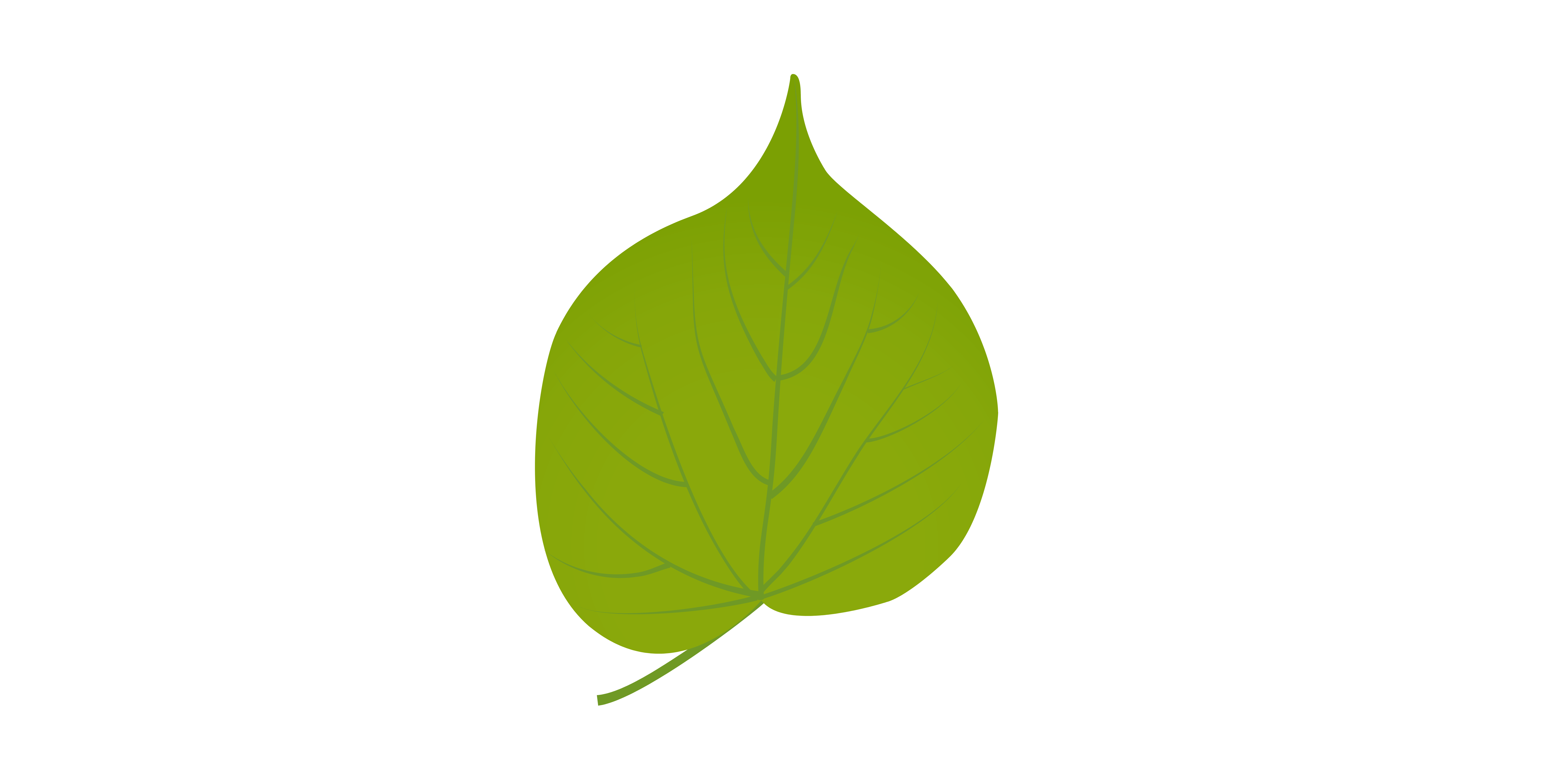 lindenblatt.png