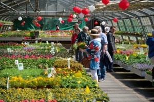 Open House at the Market Gardens in Bamberg