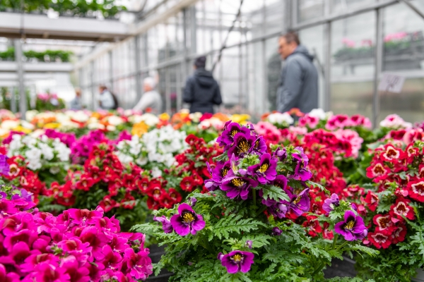 10 Years of Open Market Gardens Day