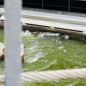 Hydropower and World Heritage