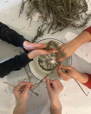 Einblick in den Bamberger Gartenbau